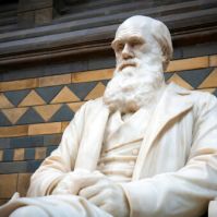 The Meeting of Science and Religion: A Look at History